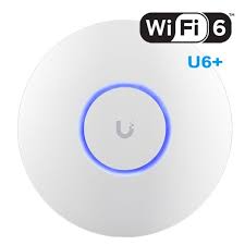 U6 +